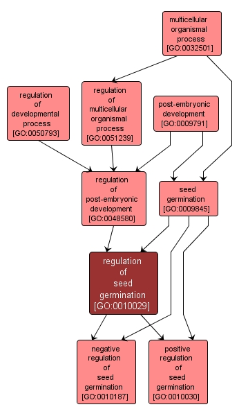 GO:0010029 - regulation of seed germination (interactive image map)