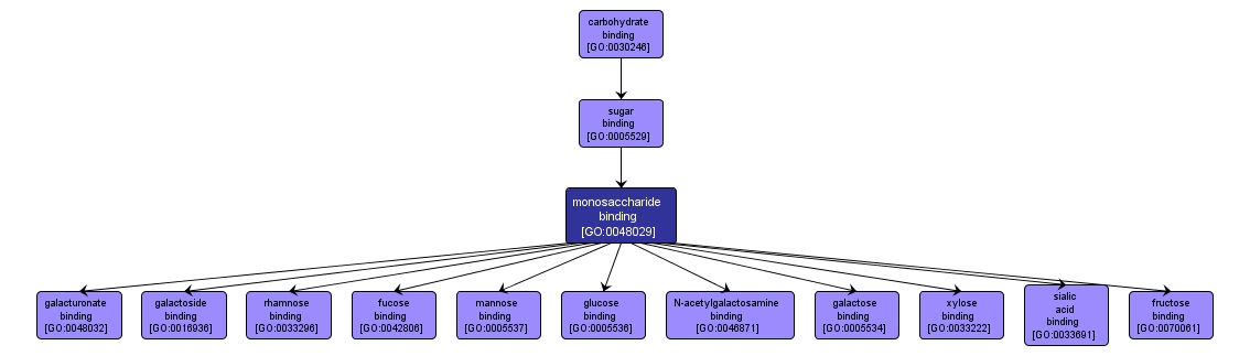 GO:0048029 - monosaccharide binding (interactive image map)