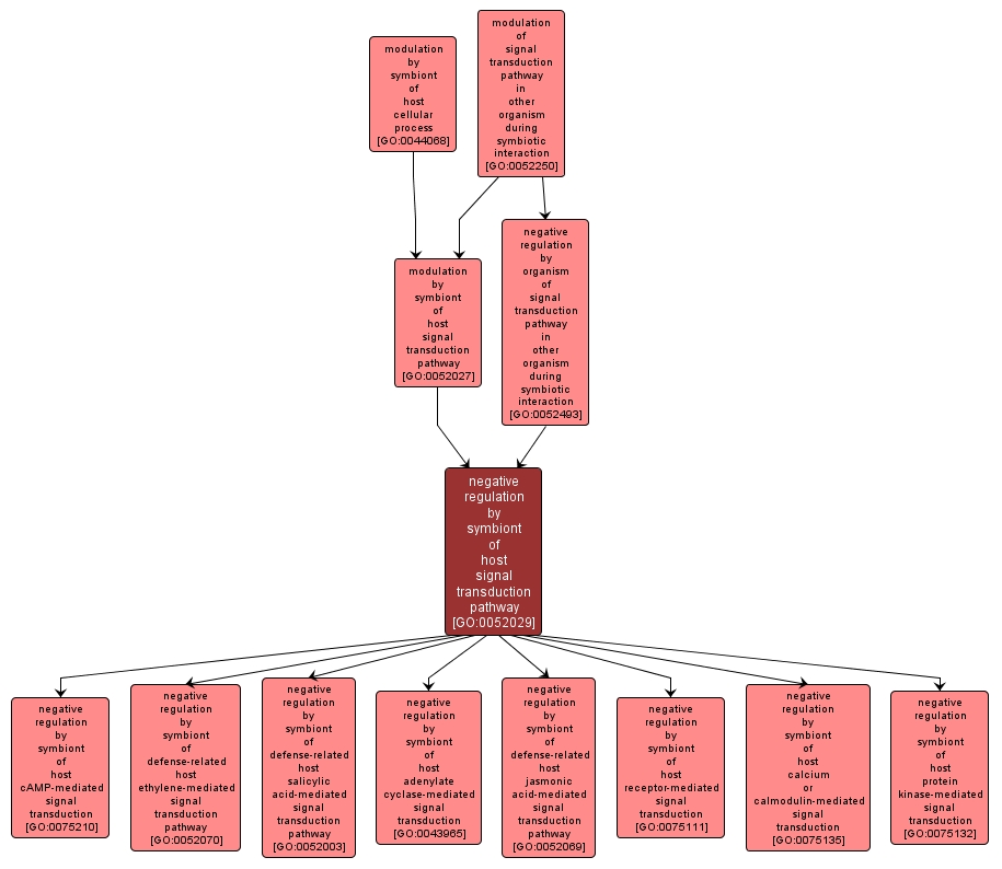 GO:0052029 - negative regulation by symbiont of host signal transduction pathway (interactive image map)