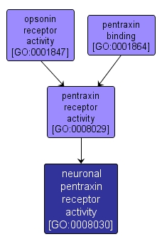 GO:0008030 - neuronal pentraxin receptor activity (interactive image map)