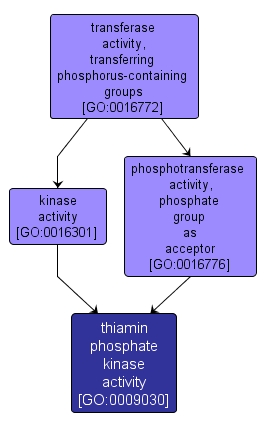 GO:0009030 - thiamin phosphate kinase activity (interactive image map)