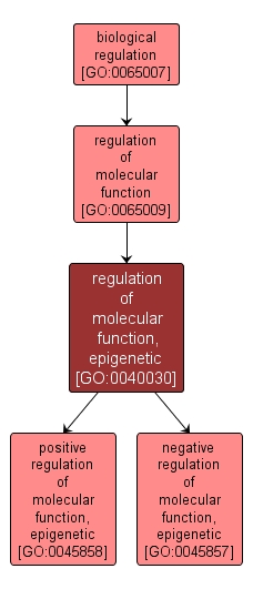 GO:0040030 - regulation of molecular function, epigenetic (interactive image map)