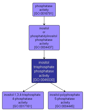 GO:0046030 - inositol trisphosphate phosphatase activity (interactive image map)