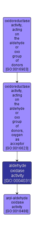 GO:0004031 - aldehyde oxidase activity (interactive image map)