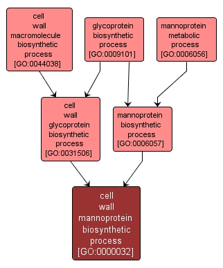 GO:0000032 - cell wall mannoprotein biosynthetic process (interactive image map)