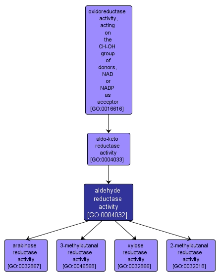 GO:0004032 - aldehyde reductase activity (interactive image map)