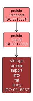 GO:0015032 - storage protein import into fat body (interactive image map)
