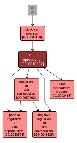 GO:0016032 - viral reproduction (interactive image map)
