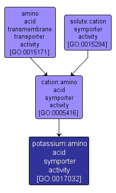 GO:0017032 - potassium:amino acid symporter activity (interactive image map)