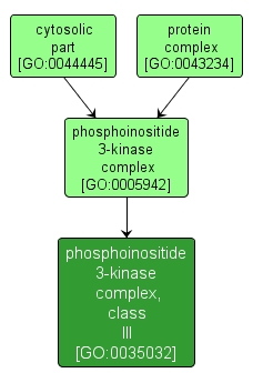 GO:0035032 - phosphoinositide 3-kinase complex, class III (interactive image map)