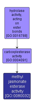 GO:0080032 - methyl jasmonate esterase activity (interactive image map)