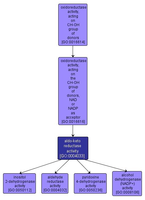GO:0004033 - aldo-keto reductase activity (interactive image map)