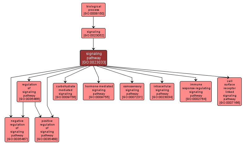 GO:0023033 - signaling pathway (interactive image map)