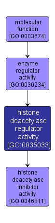GO:0035033 - histone deacetylase regulator activity (interactive image map)