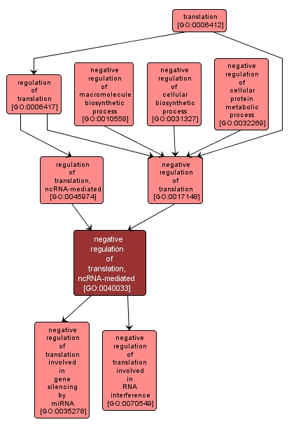 GO:0040033 - negative regulation of translation, ncRNA-mediated (interactive image map)