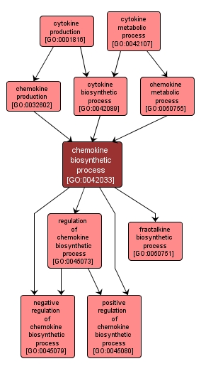 GO:0042033 - chemokine biosynthetic process (interactive image map)
