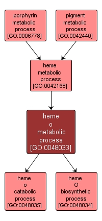 GO:0048033 - heme o metabolic process (interactive image map)