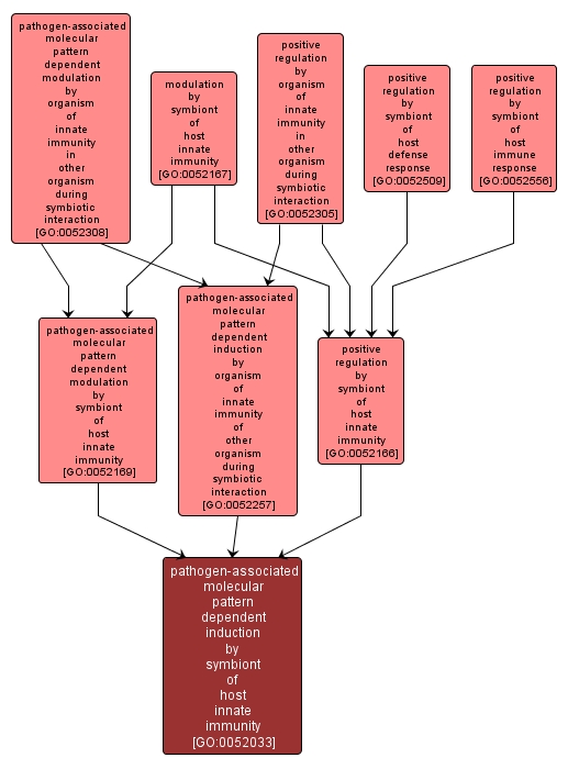 GO:0052033 - pathogen-associated molecular pattern dependent induction by symbiont of host innate immunity (interactive image map)