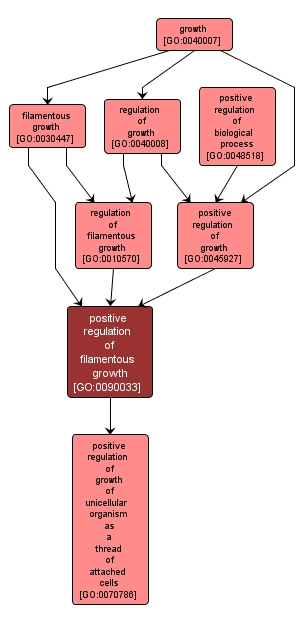 GO:0090033 - positive regulation of filamentous growth (interactive image map)