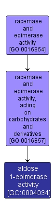 GO:0004034 - aldose 1-epimerase activity (interactive image map)
