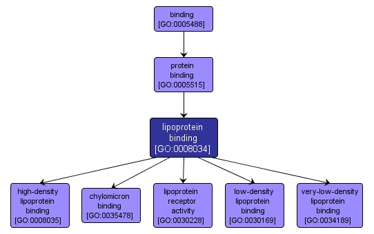 GO:0008034 - lipoprotein binding (interactive image map)
