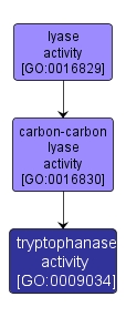 GO:0009034 - tryptophanase activity (interactive image map)