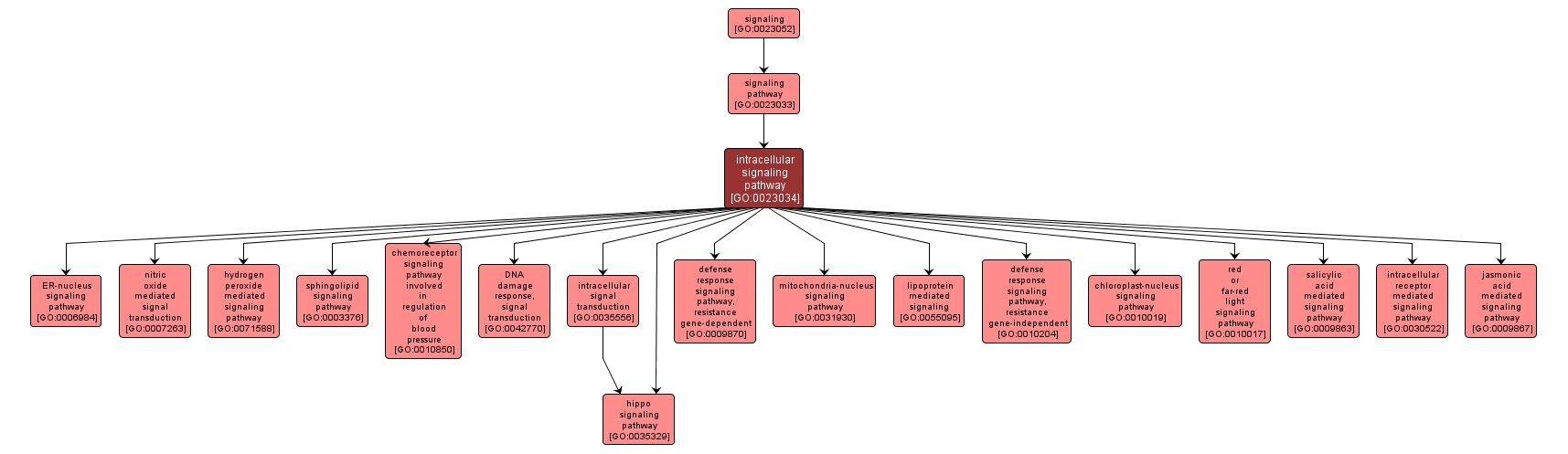 GO:0023034 - intracellular signaling pathway (interactive image map)