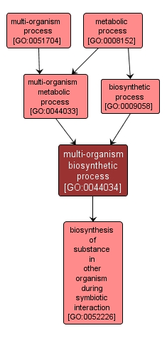 GO:0044034 - multi-organism biosynthetic process (interactive image map)