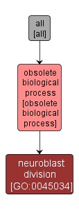 GO:0045034 - neuroblast division (interactive image map)