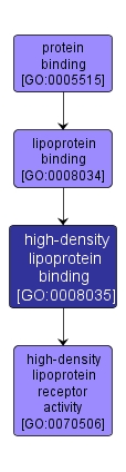 GO:0008035 - high-density lipoprotein binding (interactive image map)
