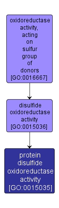 GO:0015035 - protein disulfide oxidoreductase activity (interactive image map)
