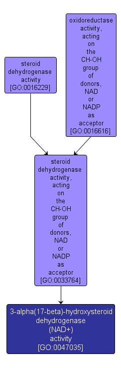 GO:0047035 - 3-alpha(17-beta)-hydroxysteroid dehydrogenase (NAD+) activity (interactive image map)