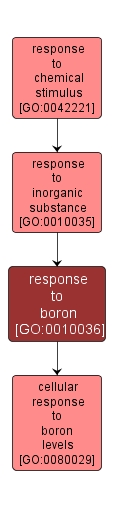 GO:0010036 - response to boron (interactive image map)