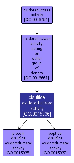 GO:0015036 - disulfide oxidoreductase activity (interactive image map)