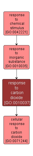 GO:0010037 - response to carbon dioxide (interactive image map)