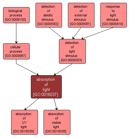 GO:0016037 - absorption of light (interactive image map)