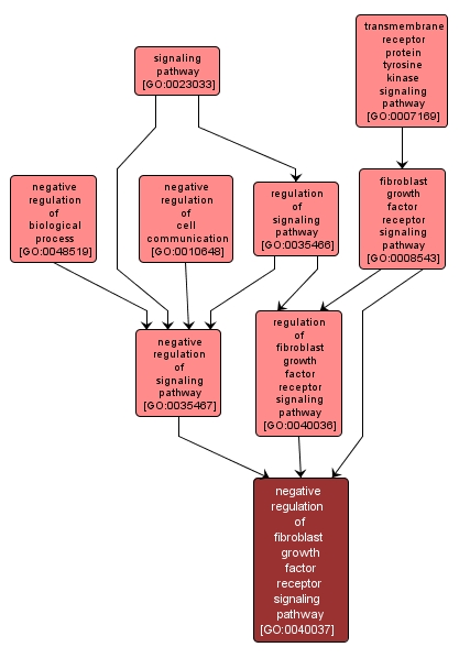 GO:0040037 - negative regulation of fibroblast growth factor receptor signaling pathway (interactive image map)