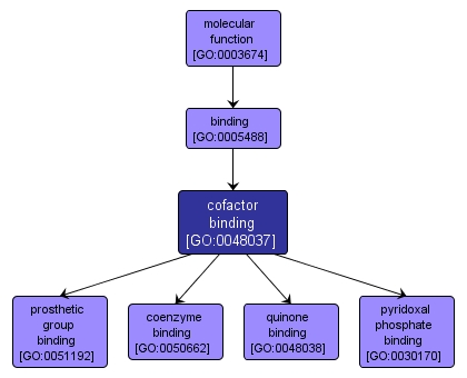 GO:0048037 - cofactor binding (interactive image map)