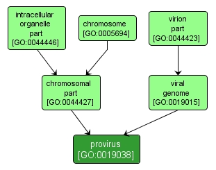 GO:0019038 - provirus (interactive image map)