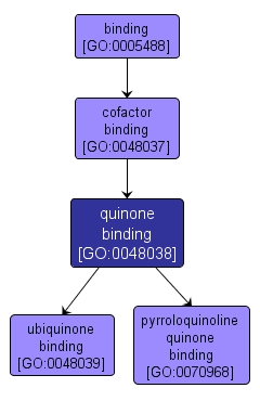 GO:0048038 - quinone binding (interactive image map)