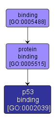 GO:0002039 - p53 binding (interactive image map)