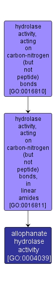 GO:0004039 - allophanate hydrolase activity (interactive image map)