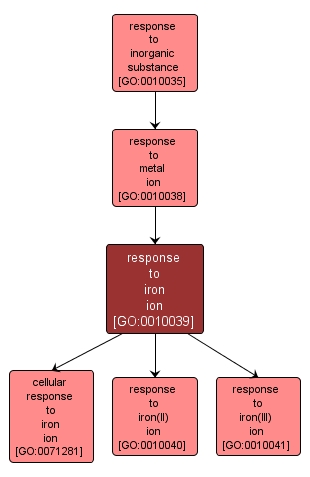 GO:0010039 - response to iron ion (interactive image map)