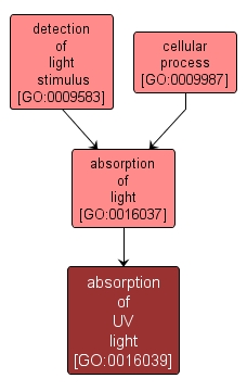 GO:0016039 - absorption of UV light (interactive image map)