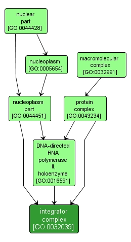 GO:0032039 - integrator complex (interactive image map)