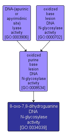 GO:0034039 - 8-oxo-7,8-dihydroguanine DNA N-glycosylase activity (interactive image map)