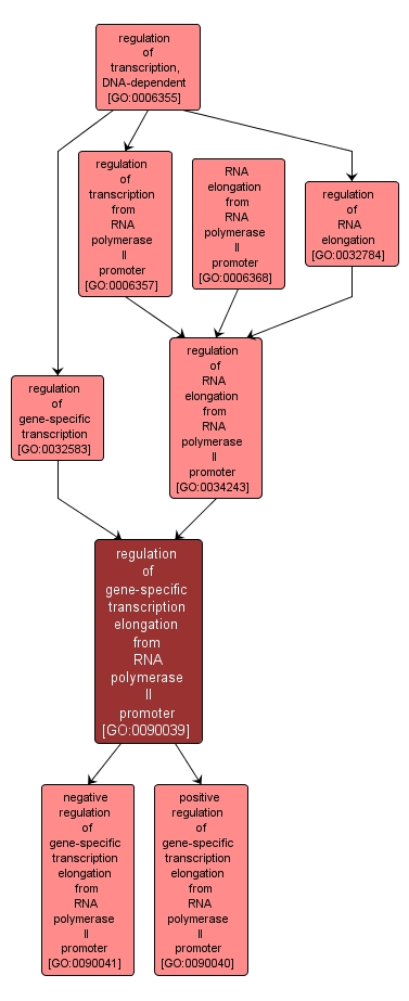 GO:0090039 - regulation of gene-specific transcription elongation from RNA polymerase II promoter (interactive image map)