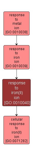 GO:0010040 - response to iron(II) ion (interactive image map)