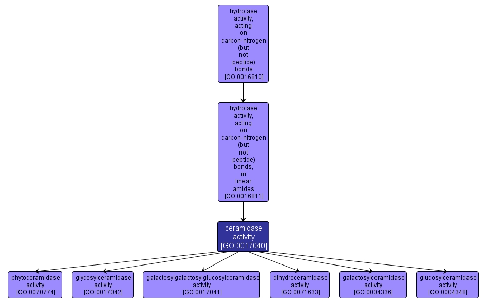 GO:0017040 - ceramidase activity (interactive image map)