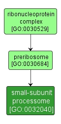 GO:0032040 - small-subunit processome (interactive image map)